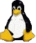 LINUX